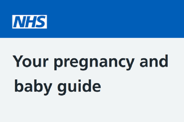 nhs pregnancy and baby guide